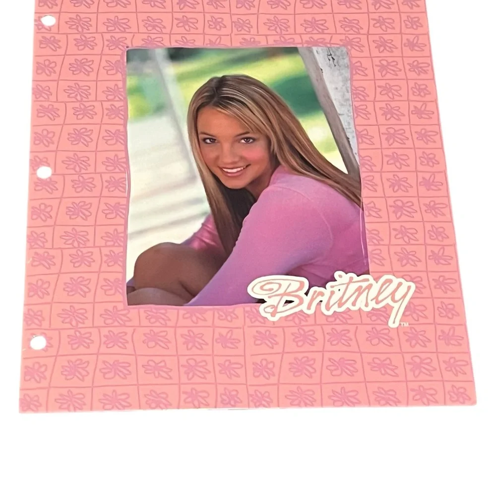 Pink Britney folder Cover